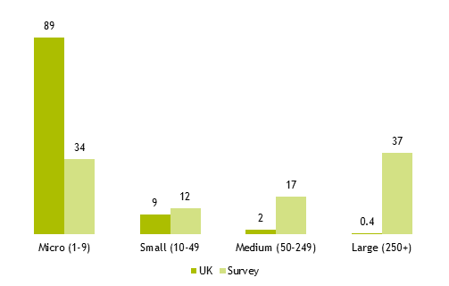 Bar charts comparing the sizes of organisations that responded to the survey compared to all UK organisations, as outlined in the previous text.