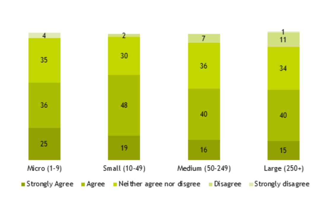 Bar charts showing the perceived fairness of performance management systems for assessing performance regardless of personal characteristics, split by organisation size. As outlined in the previous text.