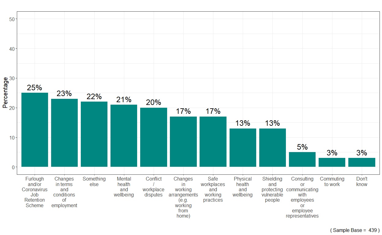 Bar chart showing there was a wide spread of topics being discussed relating to covid, with furlough the highest at 25%